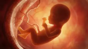 Feto nel grembo materno con cordone ombelicale, illuminato da luce calda all’interno dell’utero