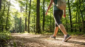 Persona che cammina su un sentiero nel bosco durante il giorno, simbolo dei benefici della camminata quotidiana