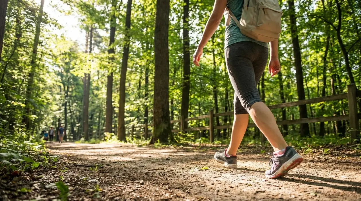 Persona che cammina su un sentiero nel bosco durante il giorno, simbolo dei benefici della camminata quotidiana