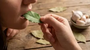 Persona che mastica una foglia di alloro su un tavolo di legno con aglio sullo sfondo